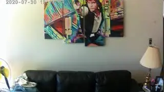 Star Wars Legendary Wall Art, Han-Solo,4 piece