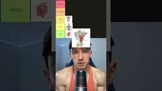 Hardest muscles to grow tier list