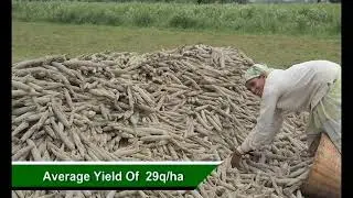 CLIMATE RESILIENT AGRICULTURE IN EASTERN REGION OF INDIA