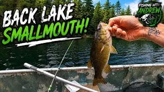 Smallmouth Bass Fishing a Back Lake 🇨🇦 | Fishing With Andrew #shortclip #bassfishing