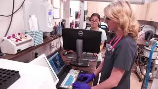 Dental Cleaning and Exam