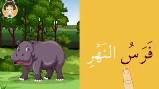 قراءة اسماء حيوانات الغابة | Learn reading Wild ِAnimal's Name in Arabic for kids