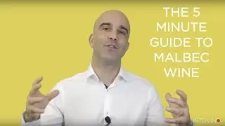 The 5 Minute Guide to Malbec Wine