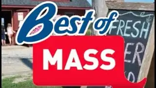 Best of Mass. Breweries: Who makes the best beer in Massachusetts?