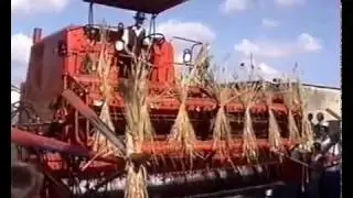 🚜 Dożynki w Adamowie 🌾
