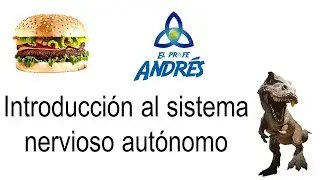 Sistema nervioso autónomo