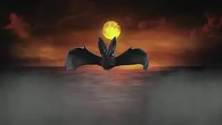 Copyright free | Bat flying |
