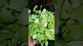 #methi aur aloo ki bhujia #shortvideo #easy #recipe #apna easy recipes