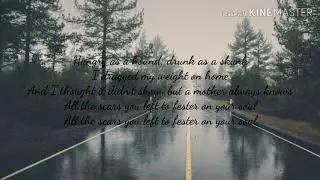 Lost Dog Street Band - From the Day You Were Born (Lyrics)