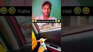 dog funny reaction shorts 🤣😂 #funny #dog #reaction #trending #shorts
