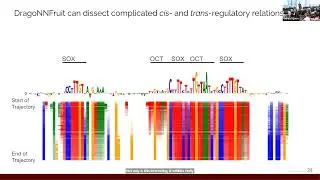 Jacob Schreiber - DragoNNFruit: Dissecting cis and trans regulation of chromatin accessibility