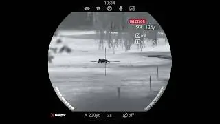 Insane image quality from the Nocpix Ace H50R Thermal Rifle Scope #hunting #huntingtech #rangetime