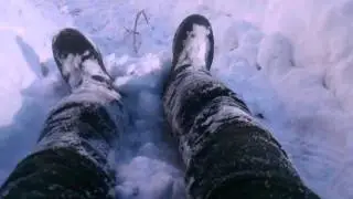 Шалажи в лесу