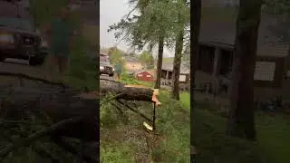 Ram Promaster with winch pulls downed trees from Pittsburgh storm 2025 tornado