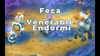 [Feca] - Solotage Venerable Endormi