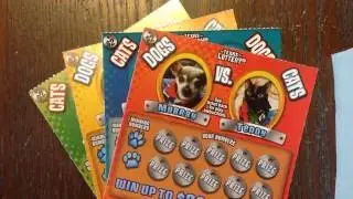 4 x $2 Cats vs Dogs Texas Lottery Scratch Off Tickets