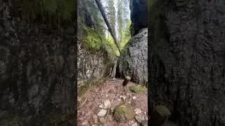 This Hike Will Blow Your Mind 🤩🎈 Pestera Cetatile Radesei 🤩