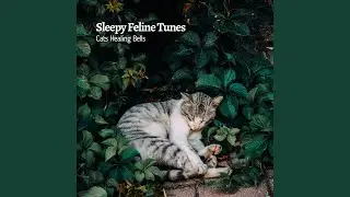 Rustling Trees and Resonant Chimes