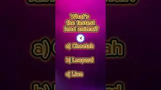 What&rsquo;s the fastest land animal? #quiz