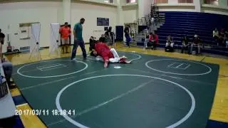 Submission Samurai 2 2017   Green Mat73
