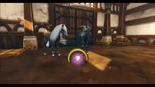 Alicia Online Breeding - HOW TO BREED A BEAUTY BLACK HORSE?
