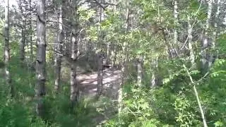 Водохранка 2014