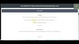 Veterans Lawn & Carpet Care SEO Performance Scan ($300 Value)