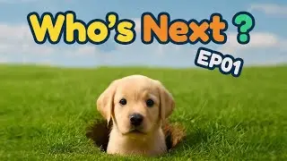 Who&rsquo;s Next? EP01 | Cute Animal Sleep Loop for Families &ndash; 2 Minute Relaxing Video