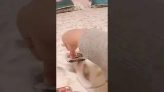 worst hotwheels crash