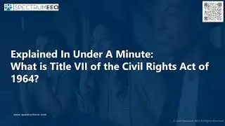 Explained in Under a Minute: What is Title VII of the Civil Rights Act of 1964?