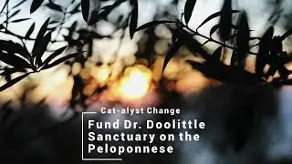 FutureLink - Cat-alyst of Change