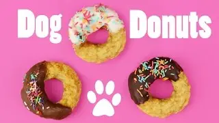 How to make DOG DONUTS WITH CHICKEN - DIY Dog Food by Cooking For Dogs & Charli's Crafty Kitchen