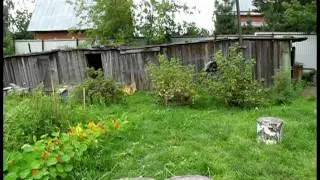 RW9HK - Demonstration flight of model Walkera CREATA 400