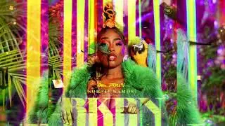 Mr.Poity & Soraia Ramos - BKBN REMIX (Bu Ka Bali Nada) [Visualizer]