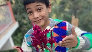 Almora trip Oct 2020