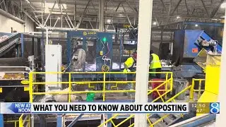Beyond the Bin: What is composting?