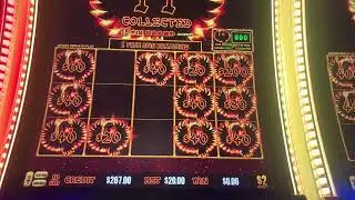 Nice Phoenix bonus