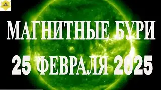 МАГНИТНЫЕ БУРИ 25 ФЕВРАЛЯ 2025 Г.