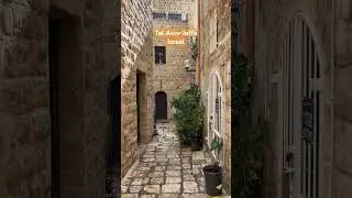 Tel Aviv Amazing, Even During the Rain #israel #telaviv #shorts #oldcity #ytshorts #telavivcity #yt
