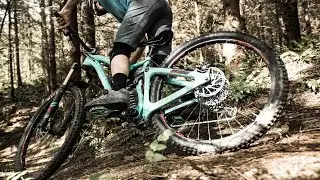TRAIL FUSION❤️ 💛 💙 💜 🖤