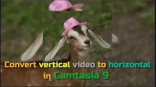 How to edit vertical/Portrait video on Camtasia 9 || Adding blurry Background in Portrait video.