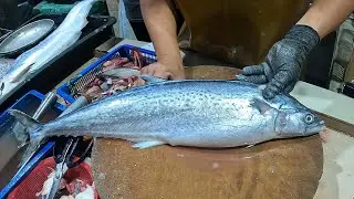 How to Perfectly Clean and Fillet a Spotted Mackerel &ndash; Full Guide! #fish #asmr #fishcutting