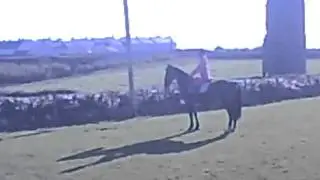 VID00237