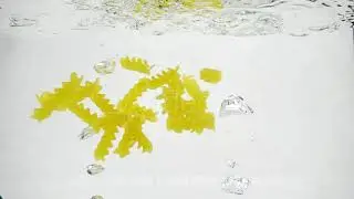 Macaroni pasta splash falling into boiled water, shot in slow motion on white background,