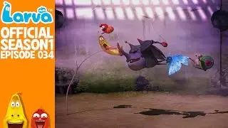 [Official] Typhoon 1 - Larva Season 1 Episode 34