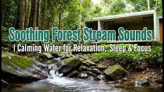 Soothing Forest Stream Sounds| Calming Water for Relaxation, Sleep & Focus.