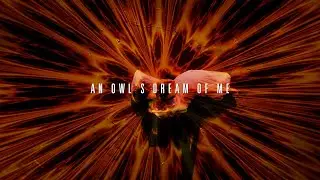 Bart Hawkins &ndash; An Owl's Dream Of Me (Excerpt)