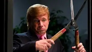 Meet the world's best Donald Trump impressionist