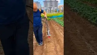 Amazing harvesting tool for rural farmer|| helpful agricultural equipments|#shorts #satisfying #tool
