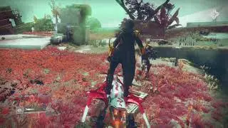 Destiny 2 sparrow glitch!